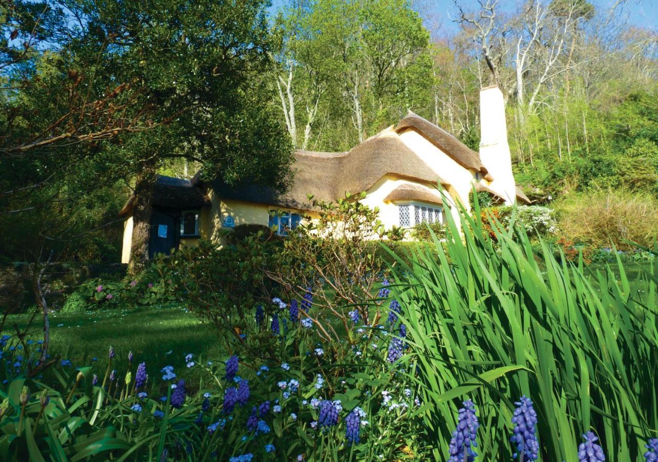Southcliffe B&B Lynton Exteriér fotografie
